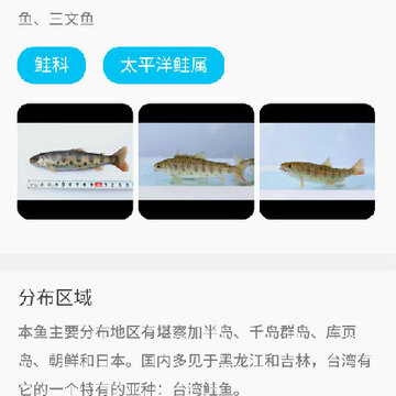 看鱼(拍照识鱼) 看鱼(拍照识鱼)