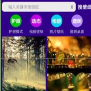 护眼狗视频壁纸 护眼狗视频壁纸