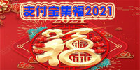֧��������2021