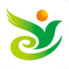 �ڱ�����v1.0 �ٷ���