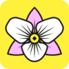 ������appv3.7.2 ���°�
