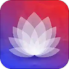 ��ֽ�Ƽ���ѡappv8.0.0 ��׿��