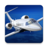 Aerofly FS 2021(շģ2021ֻ)v20.21.19 ֲ