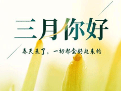 ���µ�һ����������ʺ��� �����ټ�������õ��簲����