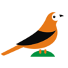 ��ò�񿵸�appv1.0.16 ���°�