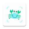 看鱼(拍照识鱼)v1.0.0 安卓版