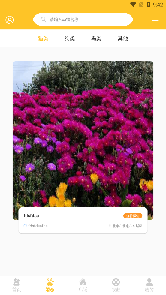 ���࿨appv3.5.6.5 ���°�