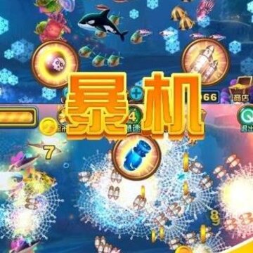 ���ݲ����ֽ��