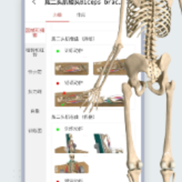 3Dbody解剖学app苹果版 3Dbody解剖学app苹果版