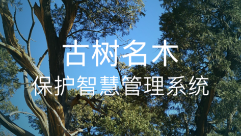 古树智慧管理app 古树智慧管理app