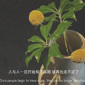 ��������޵��˸о��� ��ѹ�ֵı�������