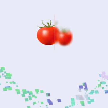 �����˴���ר��