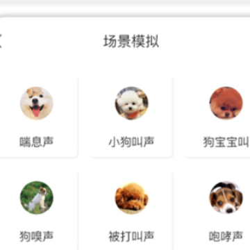 人猫人狗交流师 人猫人狗交流师