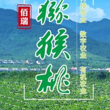 ⨺��ҿƼ�app