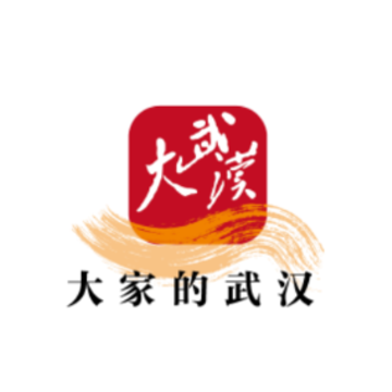 大武汉app 大武汉app