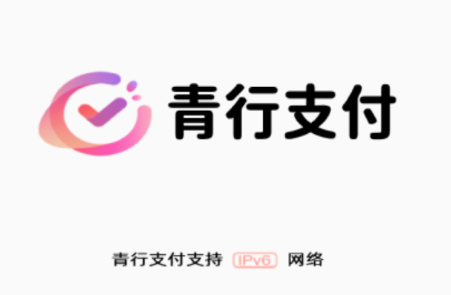 ����֧��app