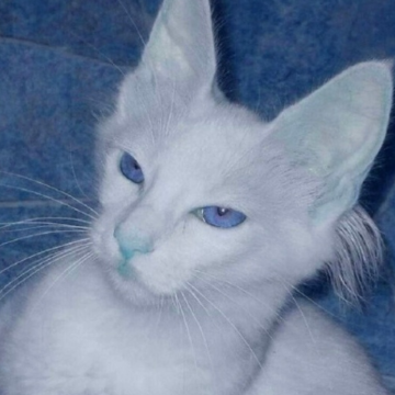 image.png image.png