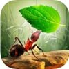 Little Ant Colony(С���ϲ�����Ϸ)v1.0.0 ��׿��