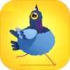 Pigeon(�����Ӱ�׿��)v1.0.2 �ֻ���