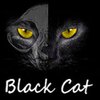 ��èBlack Cat�ⰲװӲ�̰�