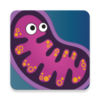 Infinite Evolution(�ϲ��������)v1.0.674-release ��׿��