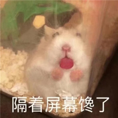 �������ղ��ܵ�ɳ������ ​​������Ļ����