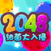 2048ϸ��������v1.0.3 ��׿��
