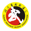 湖南武术appv1.1.3 安卓版