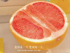 ���۳�����������Ӷ̾� ����Ⱥ������������