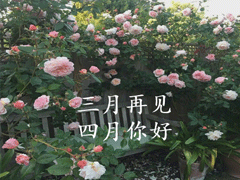 �����ټ������������������ ӭ�����µ���������¼