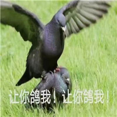 �������Ÿ��ϵ��ʵ�ñ������ȫ �Ÿ��ӱر��ı���ϼ�
