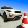 Real Drive 3D(����ʻ��������)v21.2.25 ���°�