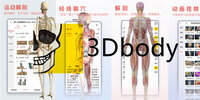 3Dbody����