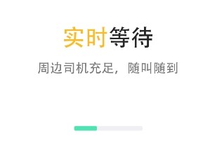 蚂蚁专业代驾司机端 蚂蚁专业代驾司机端