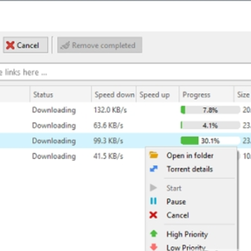 LIII BitTorrent(bt����������)