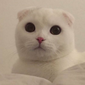image.png image.png