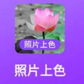��Ƭ��ɫapp