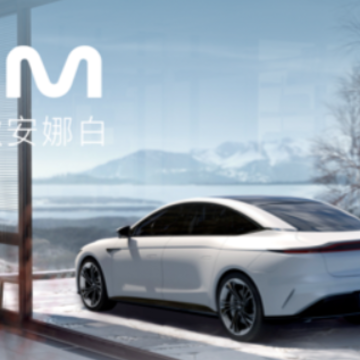 IM �Ǽ�