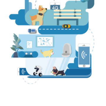 多尼斯app 多尼斯app