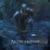 ����֮ѪAEON BLOOD���������ⰲװ��