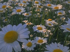 �ʺ�90���΢��״̬���� 90�������ĵ�΢��״̬�İ�