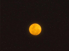 �ܿ�ק�İ���Ϭ������Ȧ���� ΢�Ű�������Ȧ˵˵