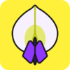 ������appv3.7.2 ��׿��