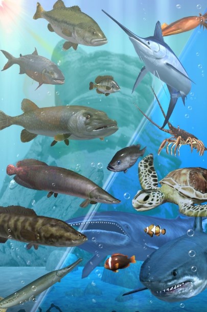 Fishing Season(���㼾��)v1.8.22 ��׿��