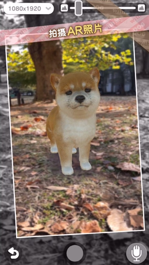 �ҵ������鹷v0.9.1 ���İ�