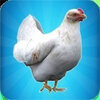 Chick Simulator(�ҵļ�ģ����)v1.0 ��׿��