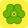 ��Ҷ��appv3.7.2 ���°�
