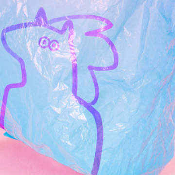 Poni