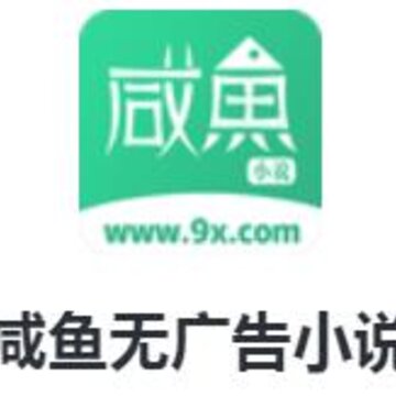 ����С˵app