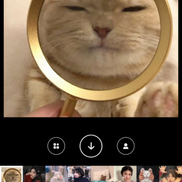 facea头像 facea头像